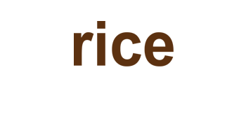 Rice